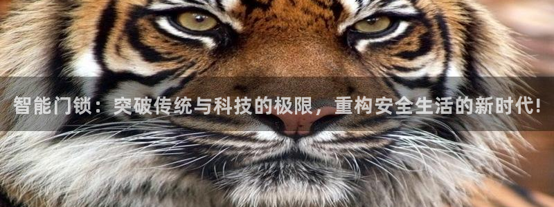 JDB电子游戏飞鸟派对宝箱：智能门锁：突破传统与科技的极限，