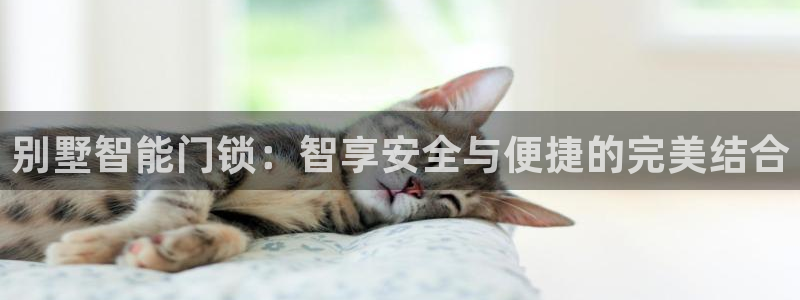jdb电子游戏坑人套路：别墅智能门锁：智享安全与便捷的完美结