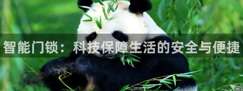 jdb电子游戏麻将无双：智能门锁：科技保障生活的安全与便捷