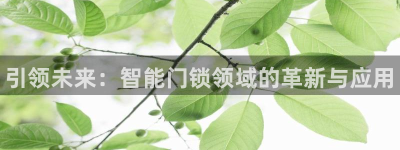 jdbc实现登录注册：引领未来：智能门锁领域的革新与应用