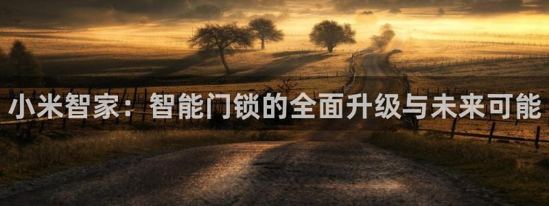 JDB平台是什么：小米智家：智能门锁的全面升级与未来可能