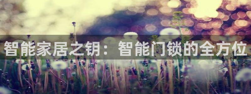 Jdb电子悟空：智能家居之钥：智能门锁的全方位