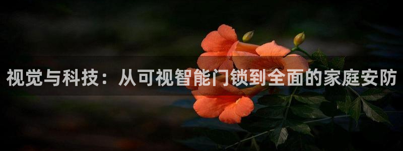 玩jdb有什么技巧：视觉与科技：从可视智能门锁到全面的家庭安