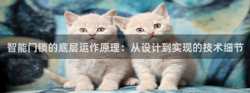 jDB电子下载