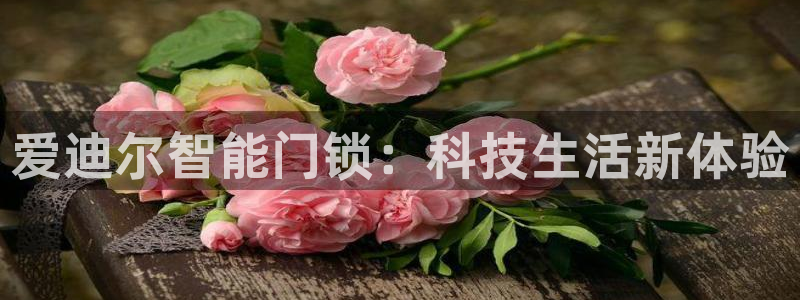 jdbc实现注册功能：爱迪尔智能门锁：科技生活新体验