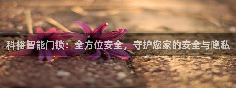 jdb游戏玩哪个：科裕智能门锁：全方位安全，守护您家的安全与