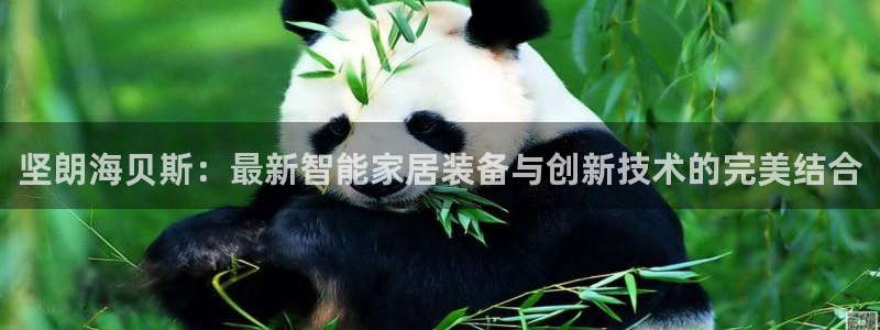 jdb电子游戏源码：坚朗海贝斯：最新智能家居装备与创新技术的