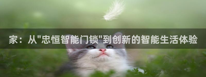jdb电子试玩网页：家：从\