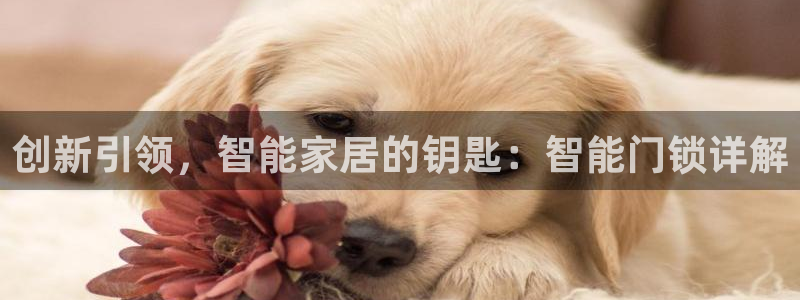 jdb电子变脸大奖截图：创新引领，智能家居的钥匙：智能门锁详