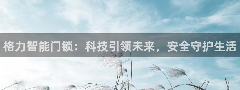 jdb电子夺宝官网试玩：格力智能门锁：科技引领未来，安全守护
