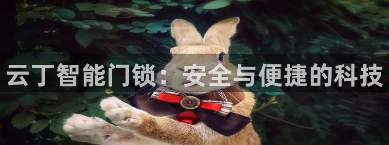 jdbc.database=cms：云丁智能门锁：安全与便捷
