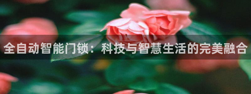 jdb电子体验：全自动智能门锁：科技与智慧生活的完美融合