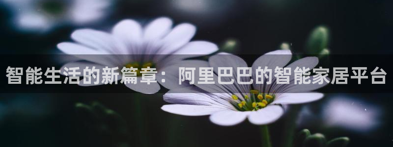 jdb电子富豪哥2：智能生活的新篇章：阿里巴巴的智能家居平台