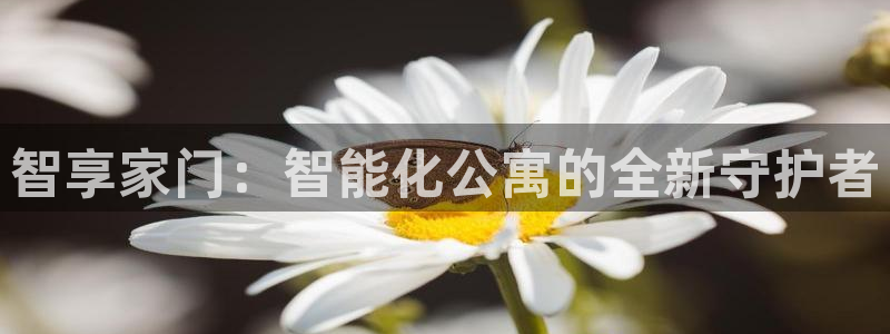 jdb电子王牌特工大奖视频：智享家门：智能化公寓的全新守护者
