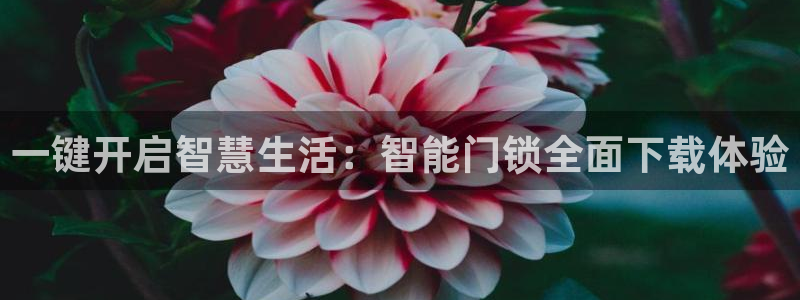 jdbc登录注册：一键开启智慧生活：智能门锁全面下载体验