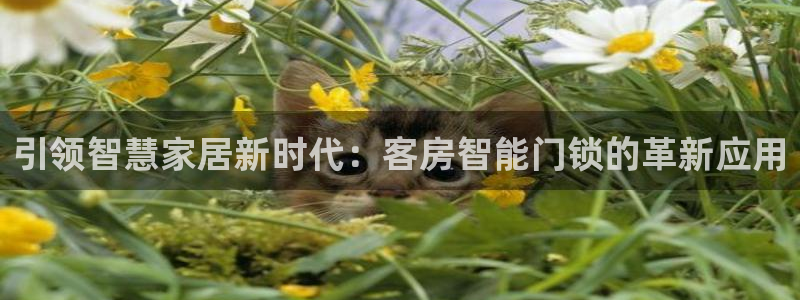 jdb台湾黑熊技巧：引领智慧家居新时代：客房智能门锁的革新应