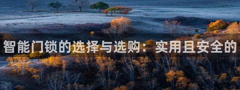 注册jdbc驱动方式的三种方式：智能门锁的选择与选购：实用且