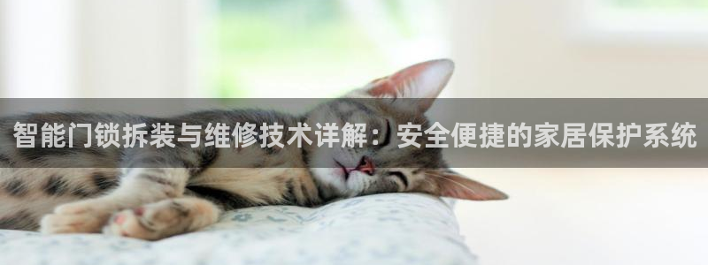 jdb财神捕鱼apply79点cn：智能门锁拆装与维修技术详