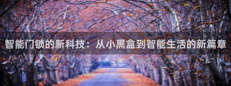 jdb电子飞鸟派对游戏大奖：智能门锁的新科技：从小黑盒到智能