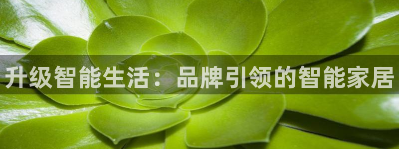 jdbc实现注册：升级智能生活：品牌引领的智能家居