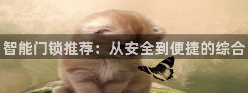 JDB电子官方网站：智能门锁推荐：从安全到便捷的综合