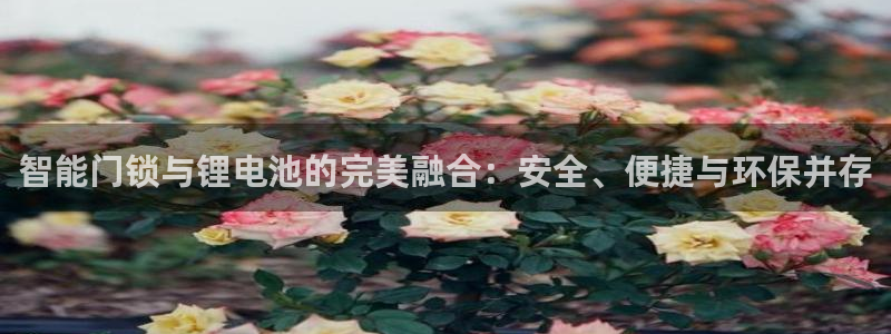 jdb电子夺宝试玩：智能门锁与锂电池的完美融合：安全、便捷与