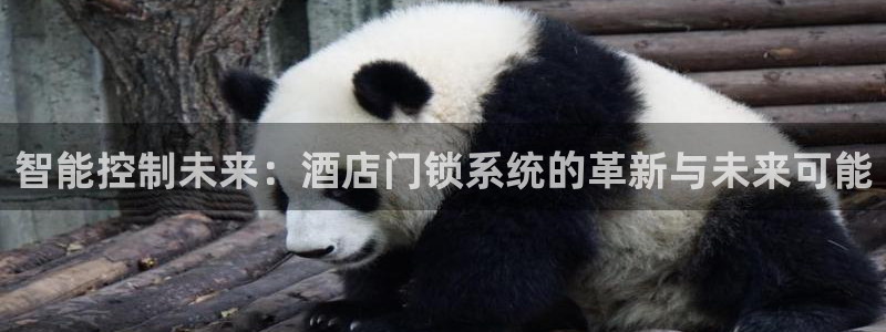 jdb夺宝游戏如何中巨奖：智能控制未来：酒店门锁系统的革新与