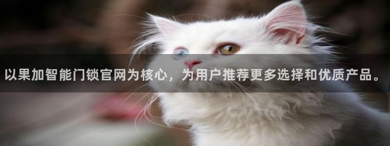 夺宝jdb电子交流：以果加智能门锁官网为核心，为用户推荐更多