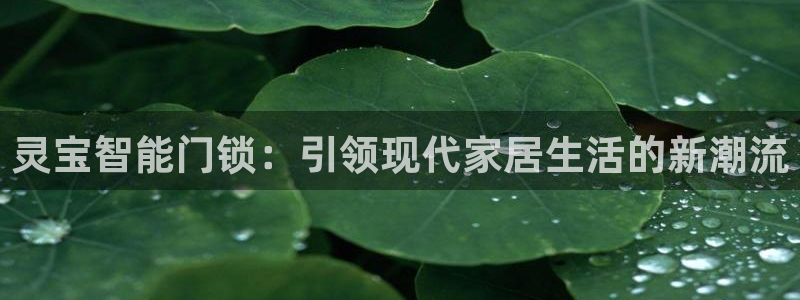 jdb电子什么游戏好玩：灵宝智能门锁：引领现代家居生活的新潮