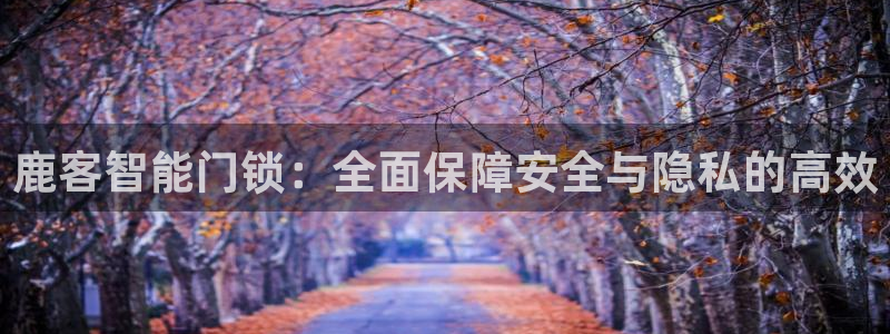 jdb电子游戏超级大奖视频：鹿客智能门锁：全面保障安全与隐私