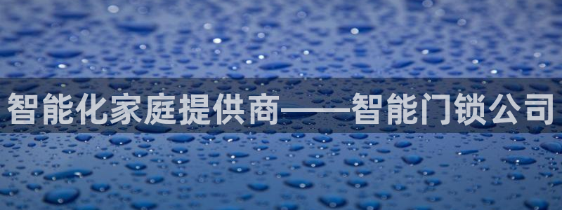 jdb电子平台入ly79,cn：智能化家庭提供商——智能门锁