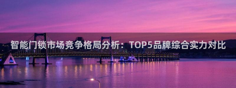 jdb变脸1和2有什么区别：智能门锁市场竞争格局分析：TOP