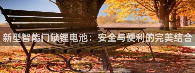 jdb电子网站尙11yb tv：新型智能门锁锂电池：安全与便