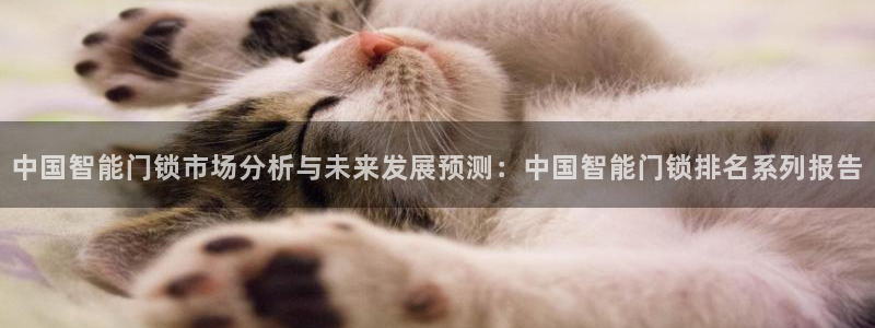 jdb电子三倍金刚攻略：中国智能门锁市场分析与未来发展预测：
