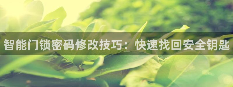 jdb电子 飞鸟派对：智能门锁密码修改技巧：快速找回安全钥匙