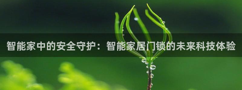 jdb台湾黑熊技巧：智能家中的安全守护：智能家居门锁的未来科