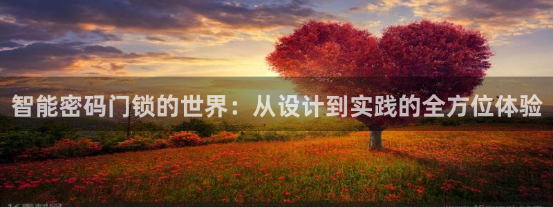 jdb试玩平台：智能密码门锁的世界：从设计到实践的全方位体验