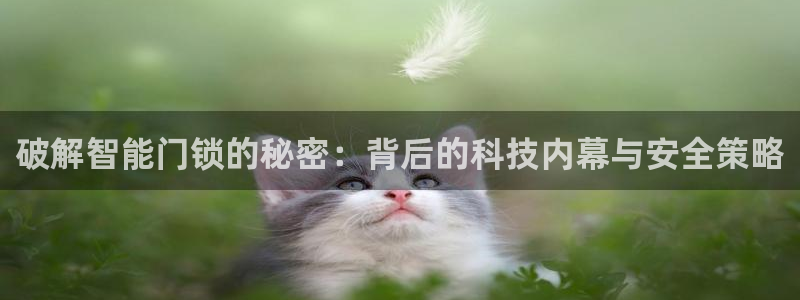 jdb电子app下载：破解智能门锁的秘密：背后的科技内幕与安
