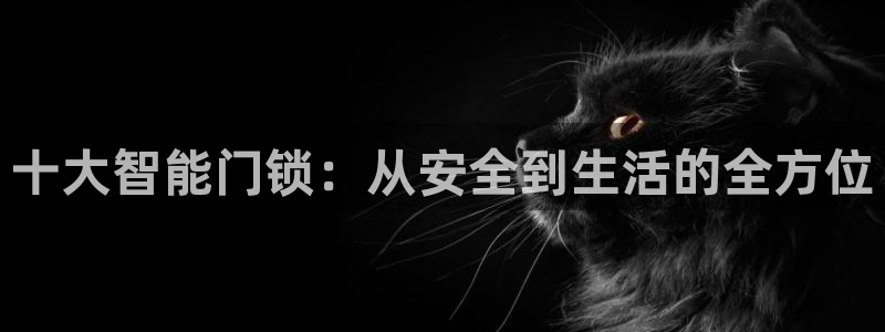 jdb电子在线试玩平台：十大智能门锁：从安全到生活的全方位