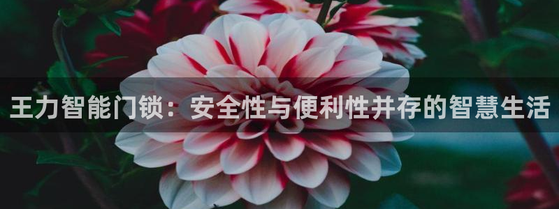 jdb试玩2000金币网址是多少：王力智能门锁：安全性与便利