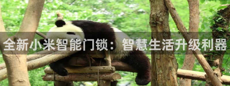 jdb五龙捕鱼1800倍：全新小米智能门锁：智慧生活升级利器