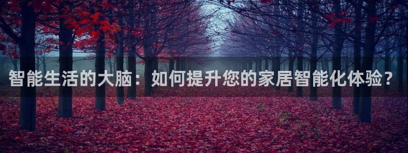 jdb游戏超级大奖视频在线播放：智能生活的大脑：如何提升您的