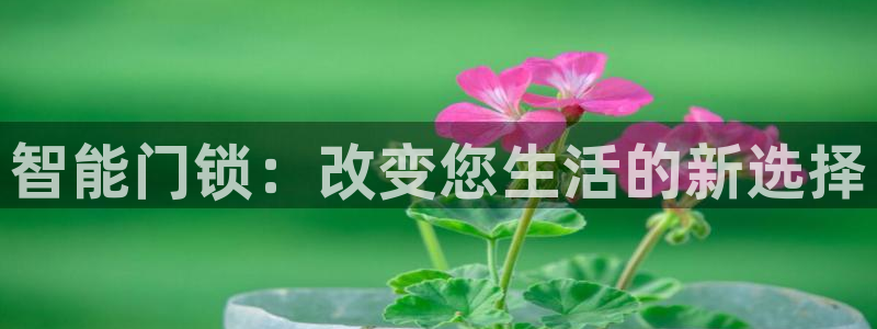 jdbapp下载：智能门锁：改变您生活的新选择