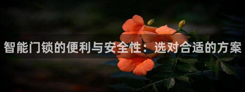 jdb电子游戏官方吴cf66,vip：智能门锁的便利与安全性