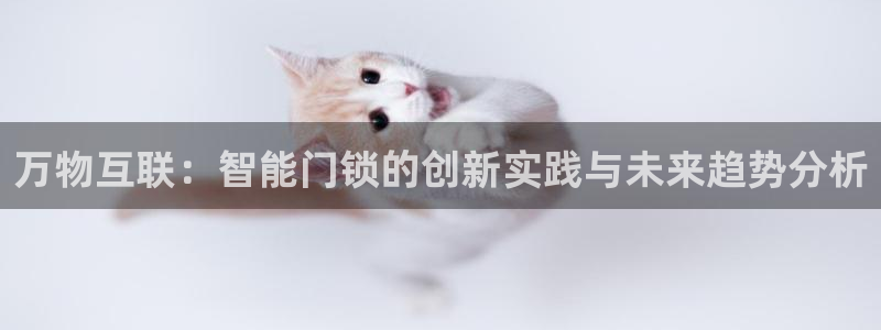 jdb电子哪里可以试玩：万物互联：智能门锁的创新实践与未来趋