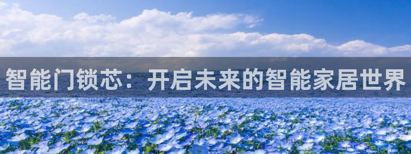 jdb游戏爆分精彩片段：智能门锁芯：开启未来的智能家居世界