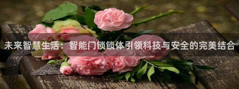 jdb电子游戏采矿宝贝：未来智慧生活：智能门锁锁体引领科技与