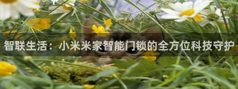 jdb电子怎么样：智联生活：小米米家智能门锁的全方位科技守护