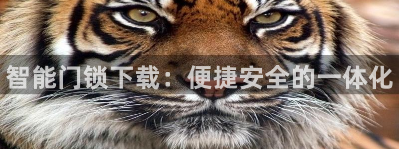 jdb网址多少：智能门锁下载：便捷安全的一体化