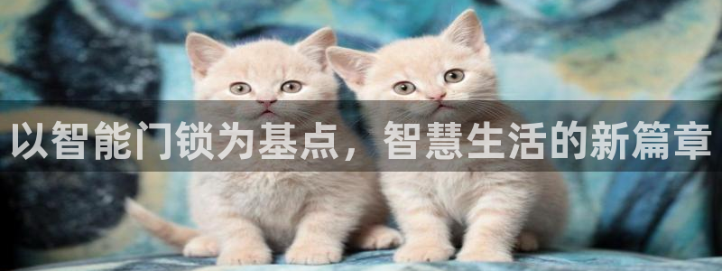 jdb电子娱乐:以智能门锁为基点,智慧生活的新篇章